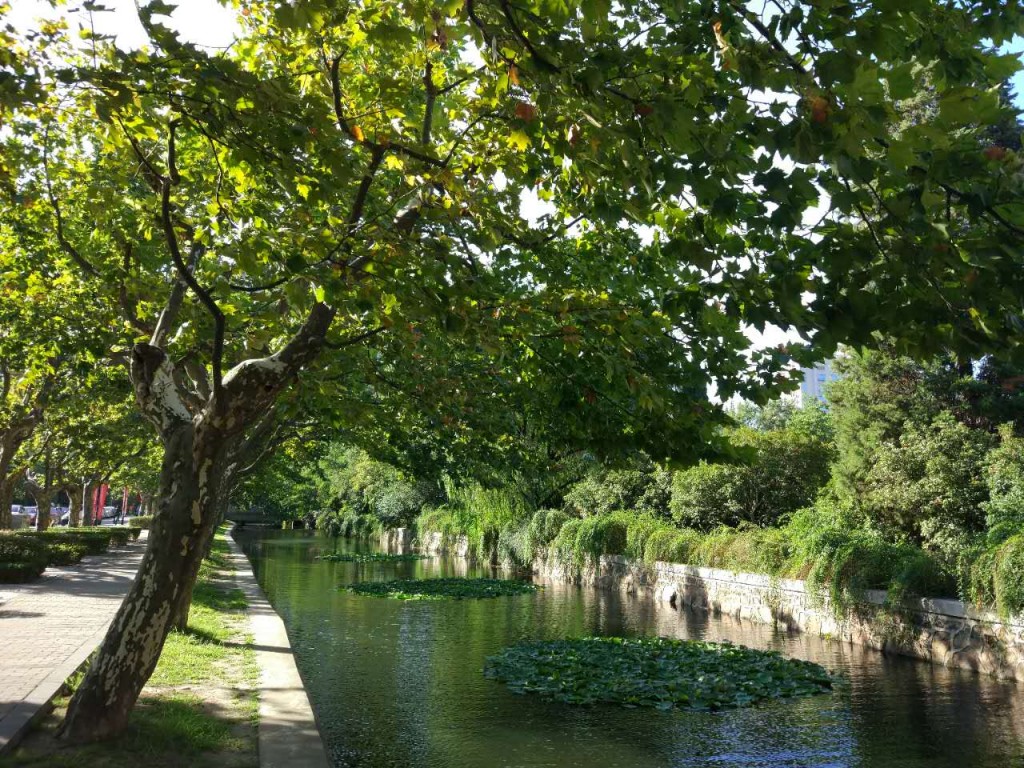 微信图片_20170928084304