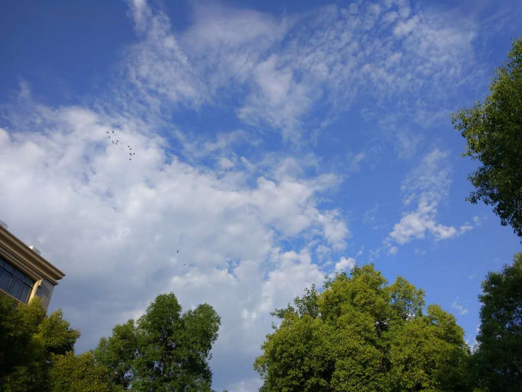 微信图片_20170705071502